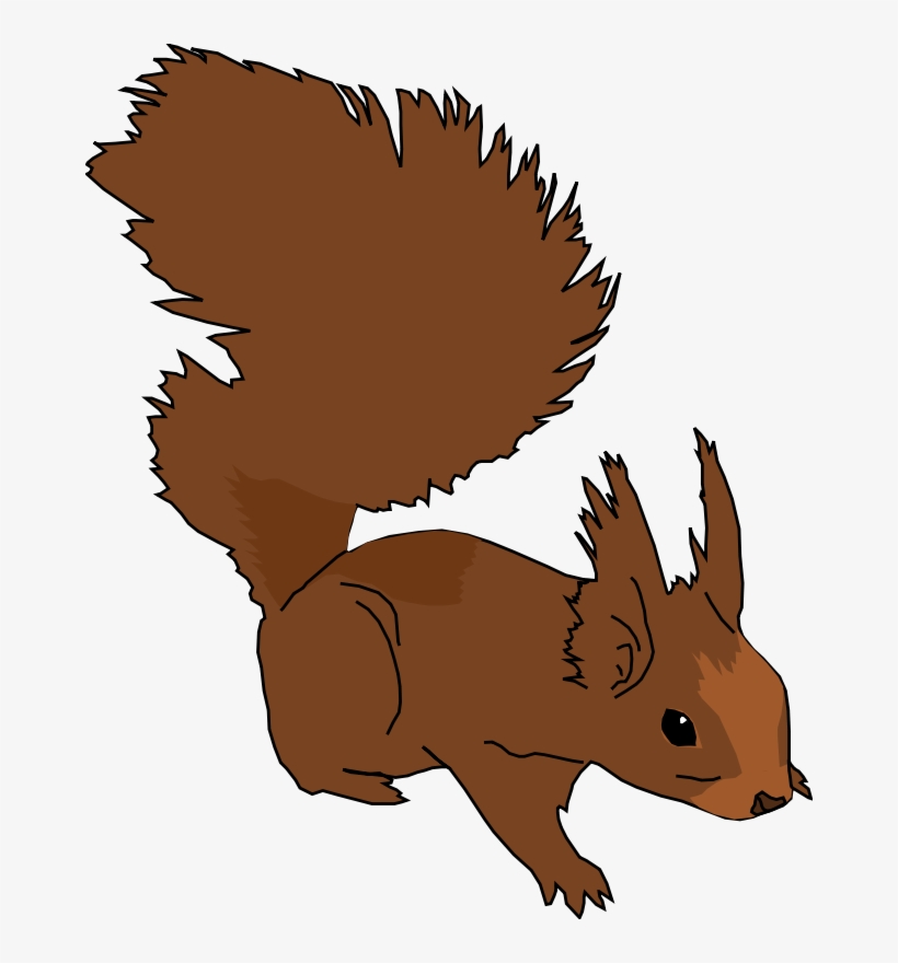 Squirrel Png Images, transparent png