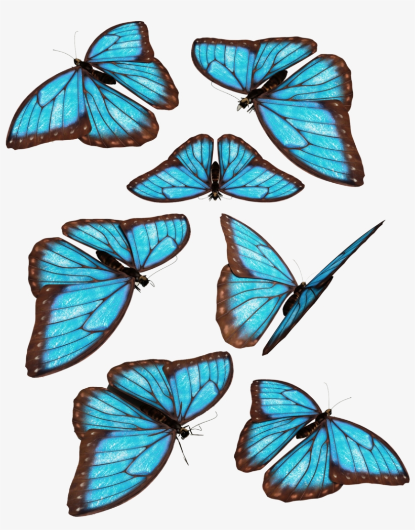 Blue Butterflies By Darkadathea On Deviantart Clip, transparent png