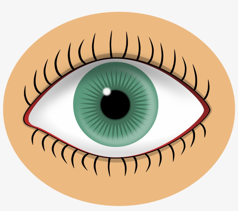 Eyelash Clipart Blue Eye - Eye Clipart, transparent png