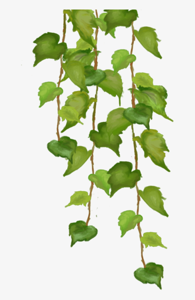 Tree, transparent png