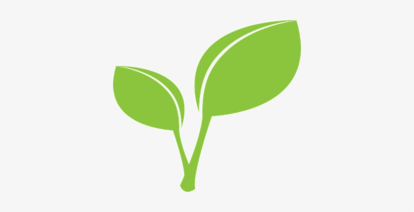 Green Leaf Leaves Leaf Leaf Leaf Leaf Leaf Leaf Clipart Png 372x340 Png Download Pngkit