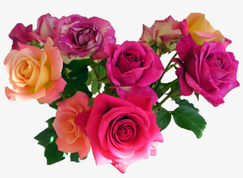 Pink Roses Png Image - Avon Wish Of Love, transparent png