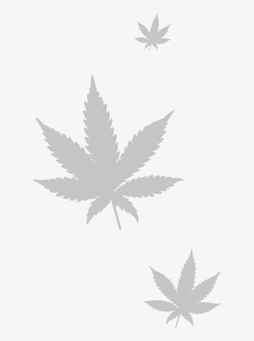 Marijuana Leaf Png - Black Marijuana Leaf, transparent png