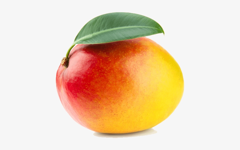 Fruits - If He's Wasting Your Time Let, transparent png