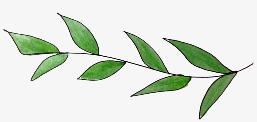 Some Of Them Are Really Small And Some Of Them Are - Provo, transparent png
