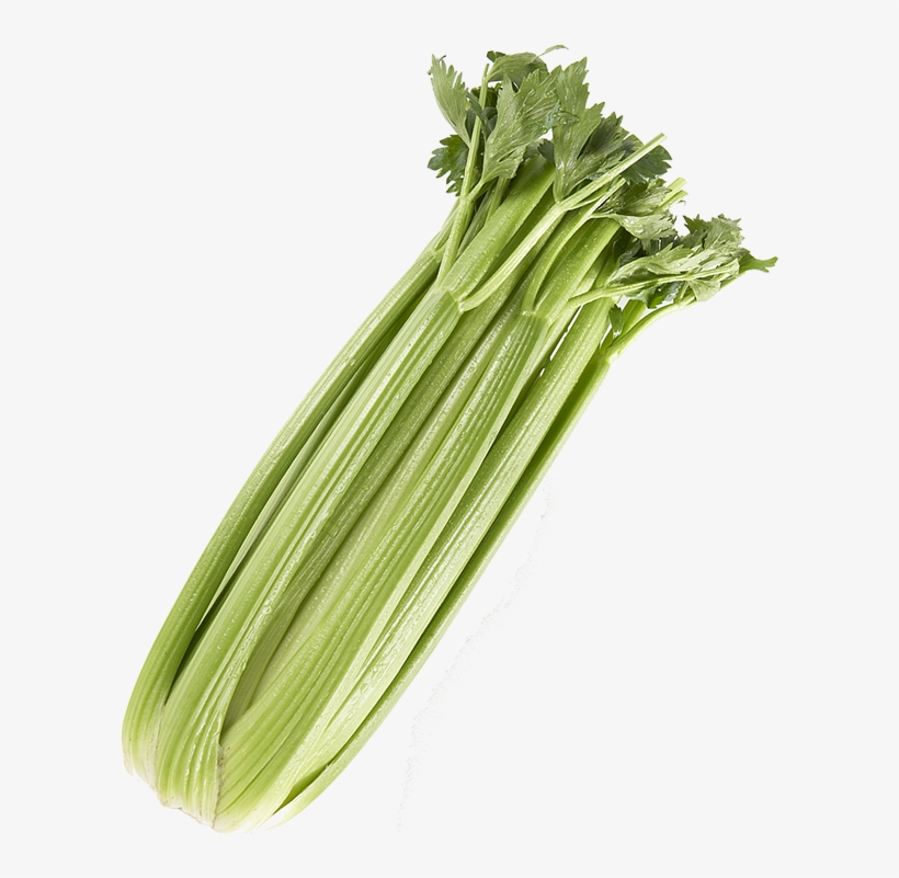 Clip Library Stock Celery Png Images Transparent Free - Celery Transparent, transparent png