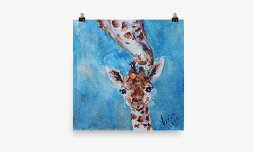Giraffidae, transparent png