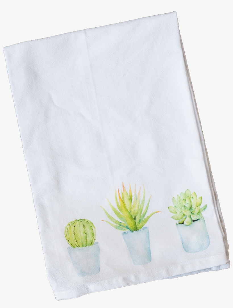 Blue Potted Succulents - Placemat, transparent png