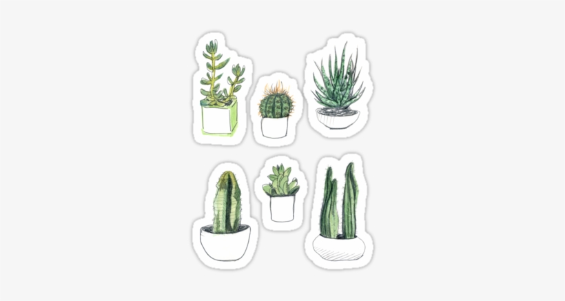 Watercolour Cacti And Succulents By Vicky Webb - Phil Lester House Plants, transparent png