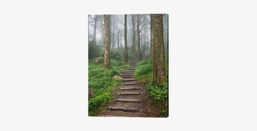 Go To Image - Essence Of The Christian Journey: Faith, Hope,, transparent png