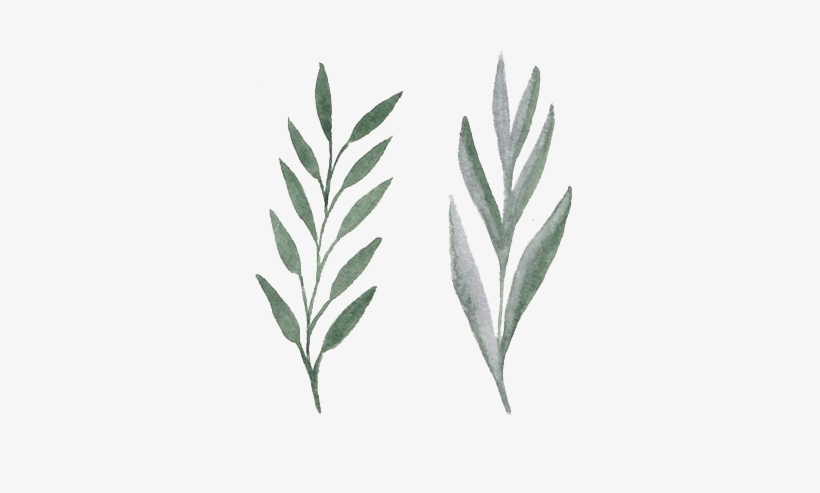 Watercolor Aquarelle Flowers Png - Aquarelle Flower Png, transparent png