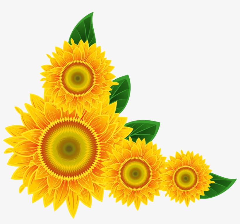 Free Icons Png - Sunflower Corner Border Png, transparent png