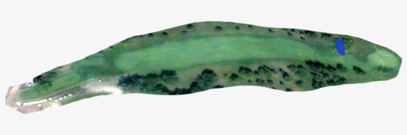 The Opening Hole Is A Short Dogleg Right, A Pond Separates - Hill, transparent png