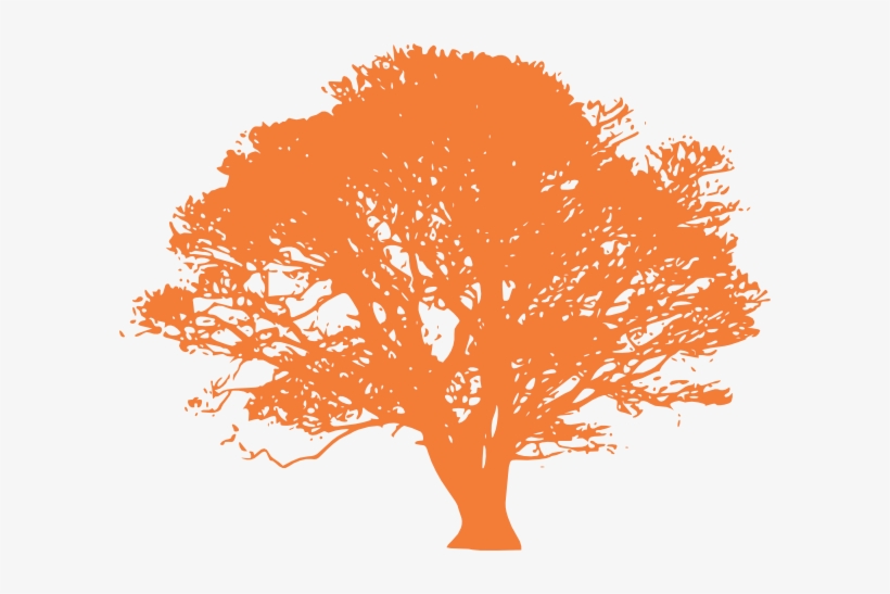 Orange Tree Clip Art, transparent png