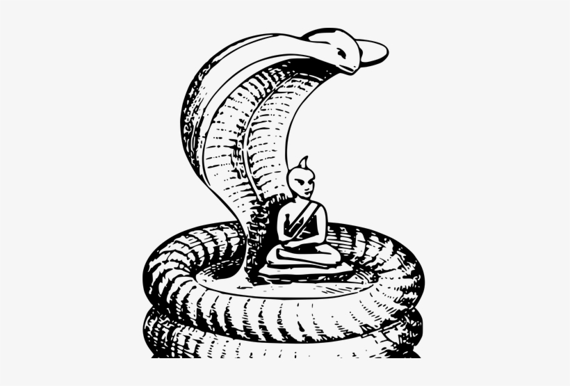 Yoga How-to - Cobra - Будда И Кобра, transparent png