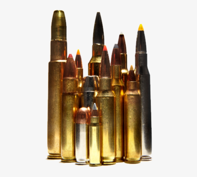 Low-cost Alternative For Zeroing Your Gun - Cartridge, transparent png