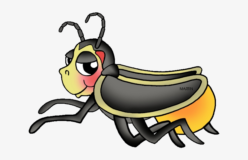 Firefly Clipart Insect, transparent png