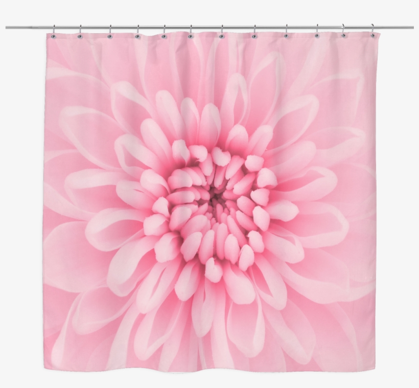 Chrysanthemum Flower Shower Curtain - Peach Chrysanthemum, transparent png