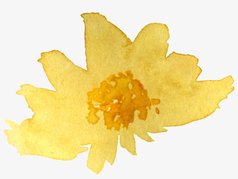 Watercolor Yellow Chrysanthemum Png - Leaf, transparent png