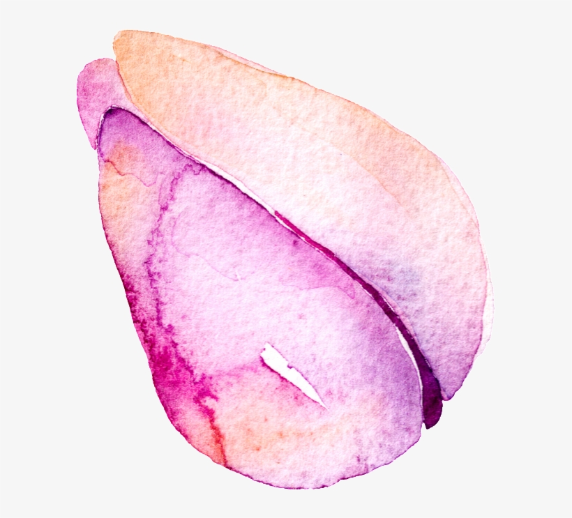 Purple Flower Hand Painted Watercolor Cartoon Transparent - Watercolor Painting, transparent png