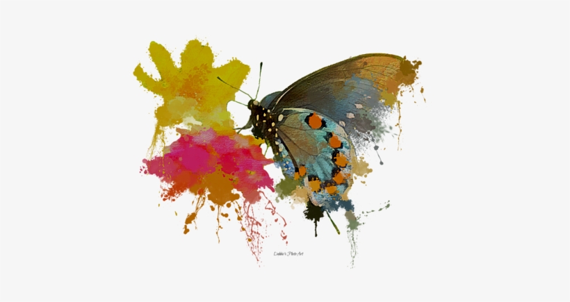 Bleed Area May Not Be Visible - Lycaenid, transparent png
