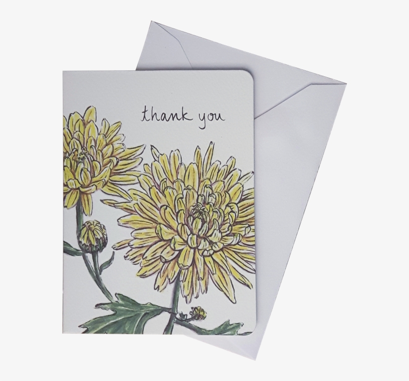 Chrysanthemum Mini Card Set Of - Chrysanthemum, transparent png
