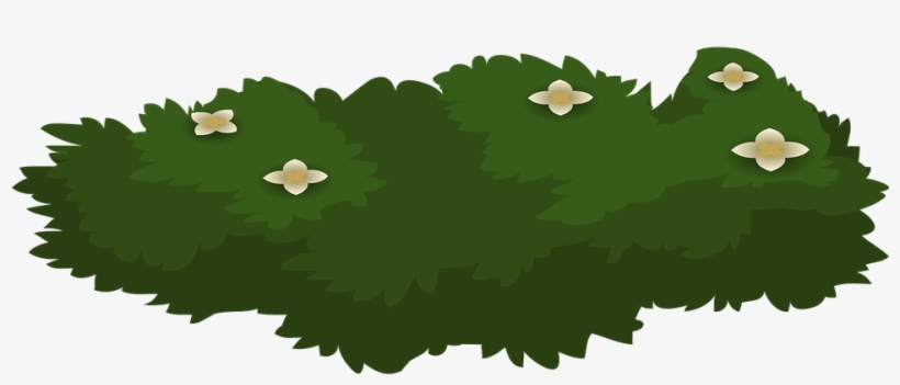 Shrub Bushes Clipart Plant Garden Free Clipart On Dumielauxepices - Shrub, transparent png