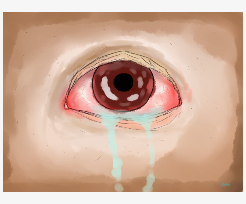 Log In To Report Abuse - Newgrounds, transparent png