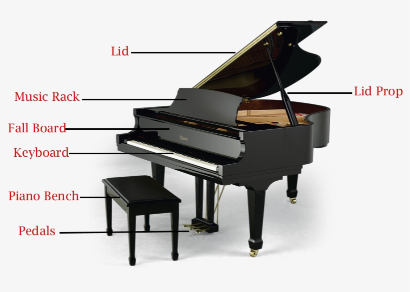 Grand Pianos Have A Few Major Piano Parts - Baby Grand Piano Png, transparent png