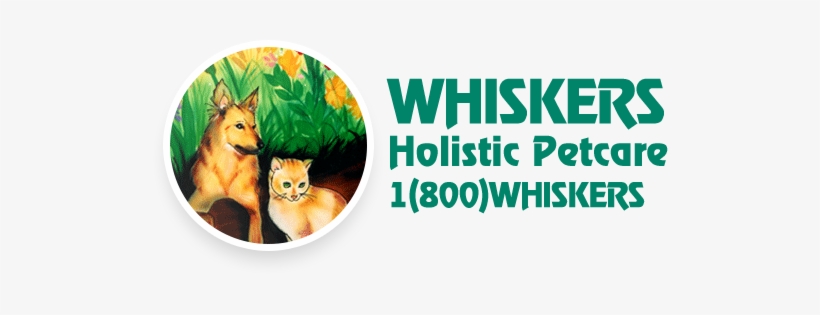 Shop Now - New York City, transparent png