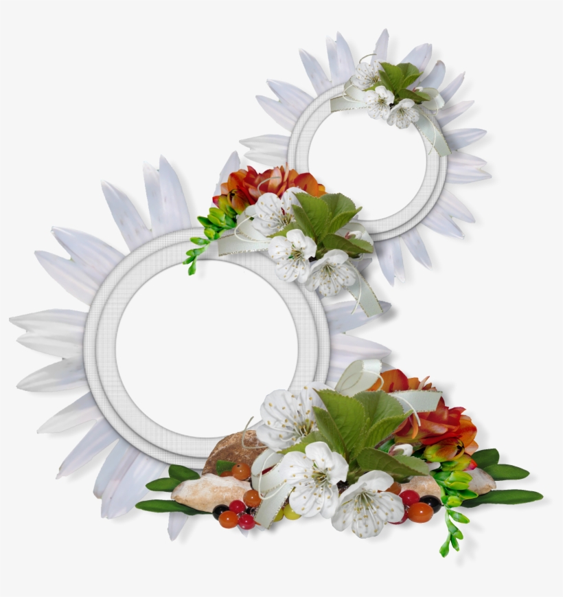 Image Du Blog Zezete2 - Рамки Ромашки Круглые, transparent png