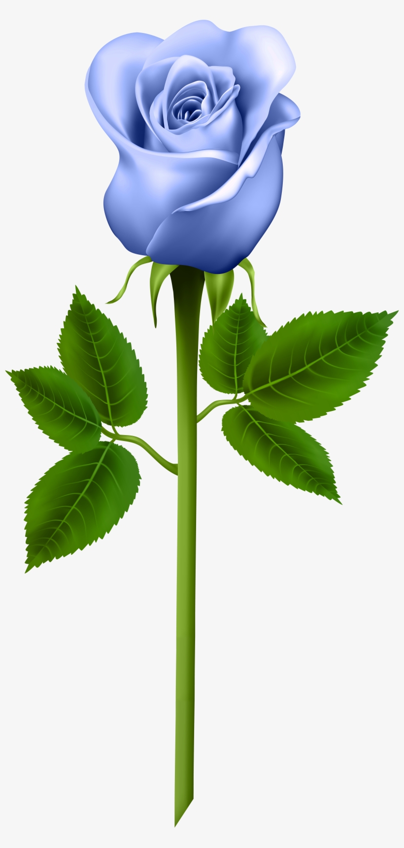 Purple Rose Clipart, transparent png