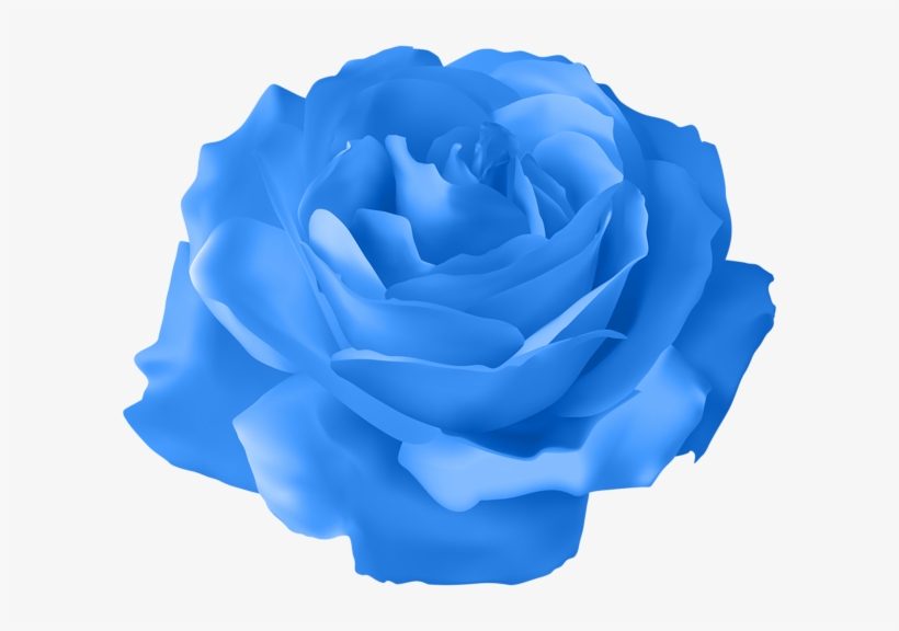 Blue Rose Transparent Png Clip Art Image - Orange Rose Flower Png, transparent png