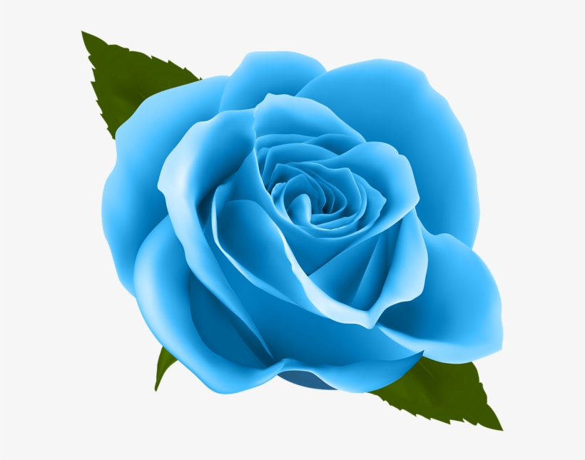 Png Free Blue Roses Clipart - Purple Rose Png, transparent png
