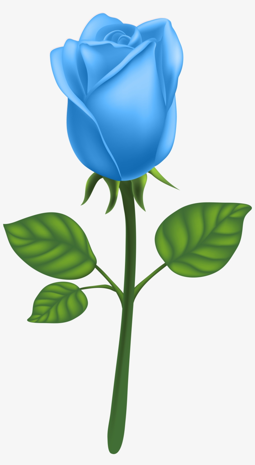 Garden Roses Adobe Illustrator Clip Art Blue - Clip Art, transparent png