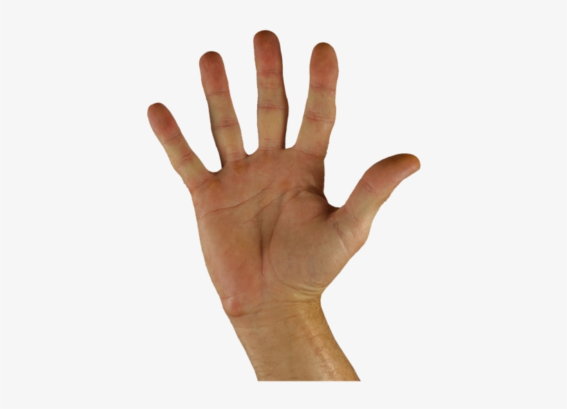 Five Things Open Palm - Sabañones En Las Yemas De Los Dedos, transparent png