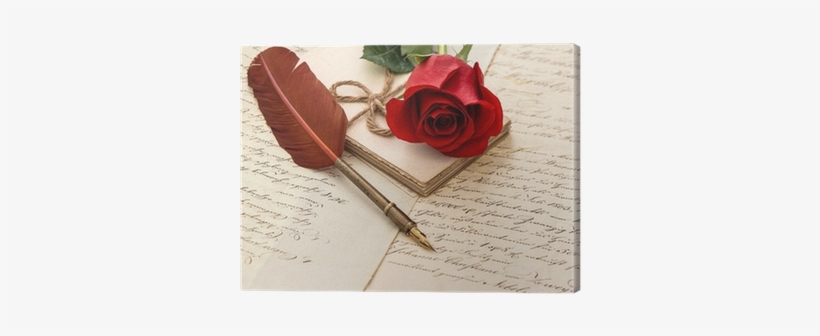 Red Rose Flower, Old Letters And Antique Feather Pen - Thanks For Special One, transparent png