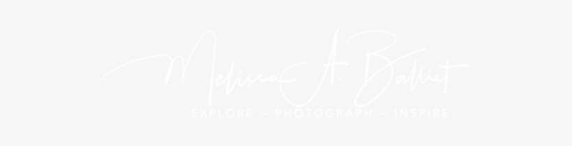 “got My New Photologo And An Excited About It After - Samsung Logo White Png, transparent png