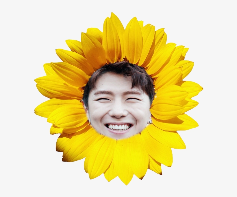 10/06 321 S/v - Transparent Flower Png Sunflower, transparent png