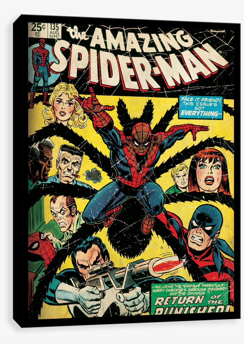 Spider-man Punisher - Amazing Spider Man 135, transparent png