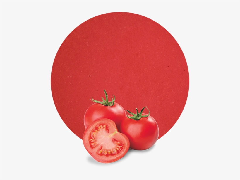Copper, Potassium, Vitamin K And They Are A Great Source - Rutgers Tomato (red) 4 Plants - Great For Canning, transparent png