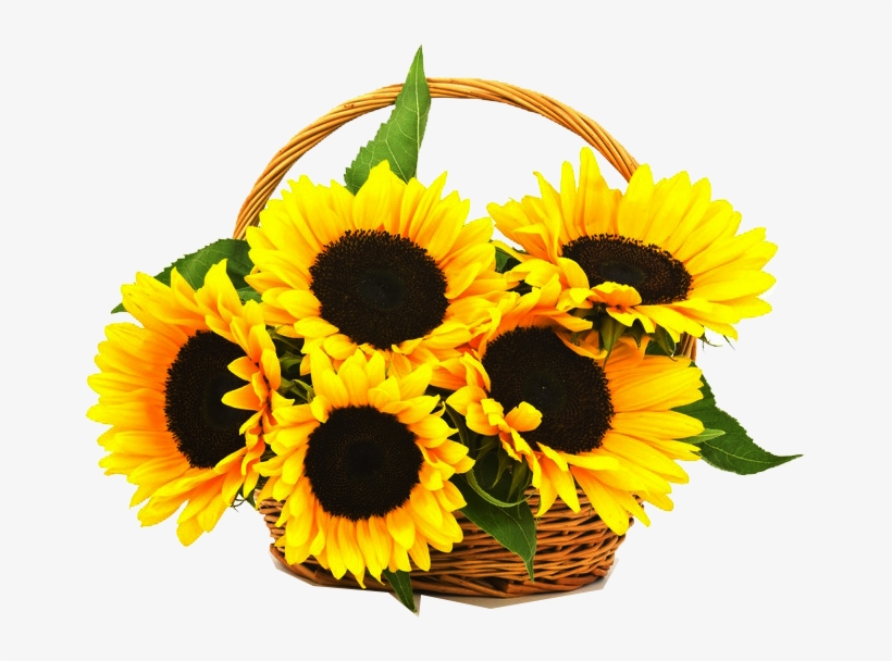 Cell Traditional Basket Online - Sunflower Basket Png, transparent png