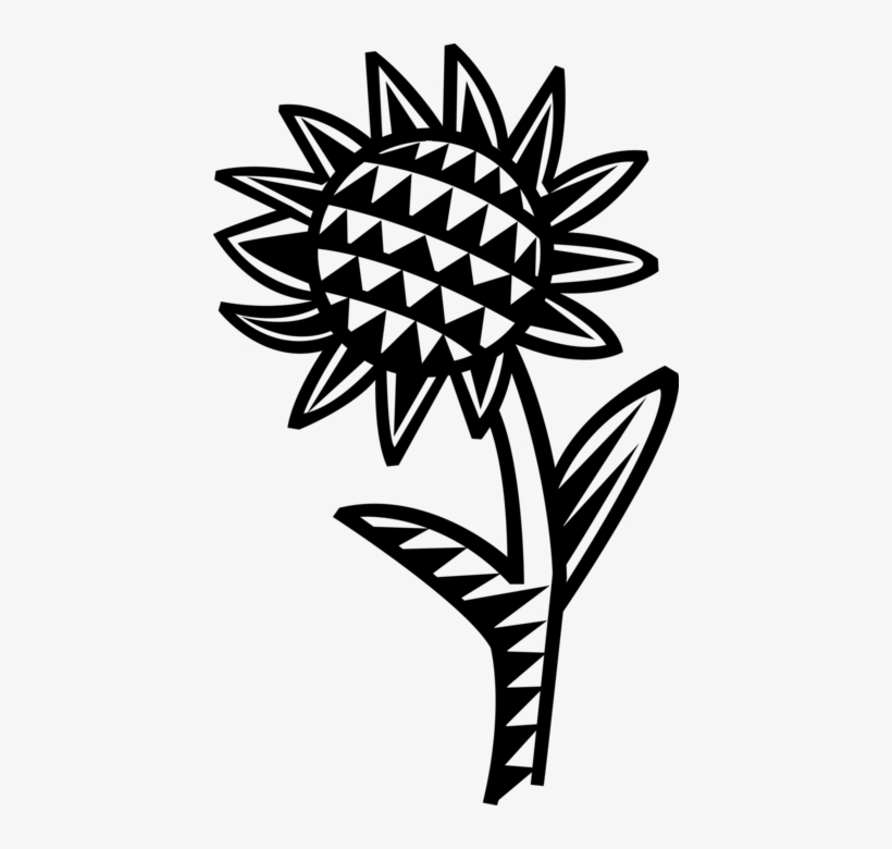 Vector Illustration Of Sunflower Flower In Garden, transparent png