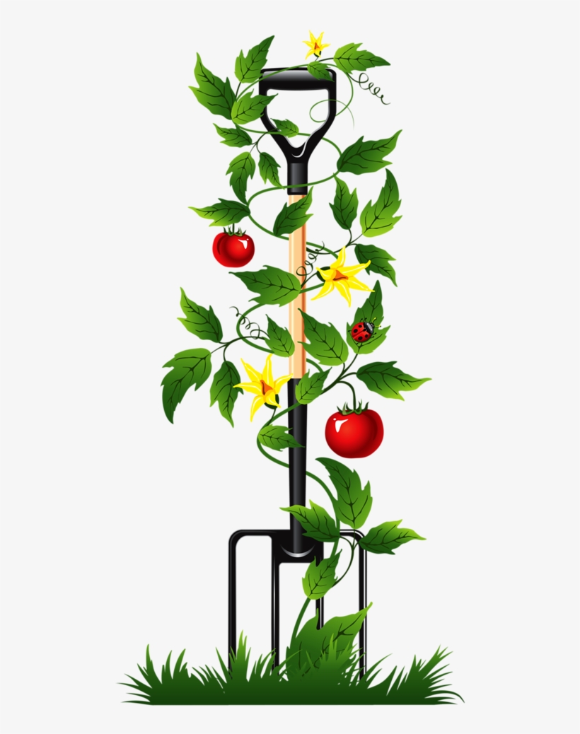 Garden - Automatic Watering System, transparent png