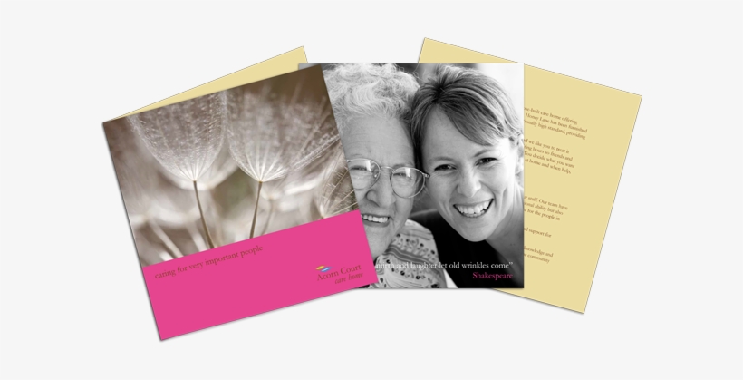 Request A Brochure - Jp London Md4a051 Light Seed Dandelion Wind Removable, transparent png