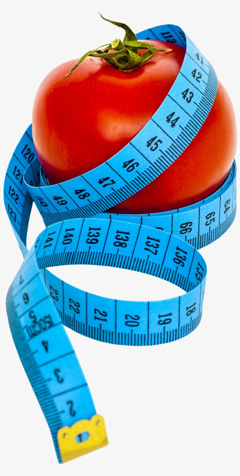 Lose 10 Pounds In 10 Days: Guaranteed Tips For Simple, transparent png