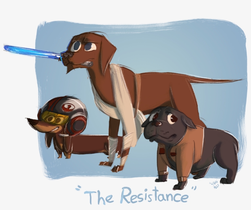 Dog Star Wars Corgi Puppies Dogs Finn Bulldog English, transparent png
