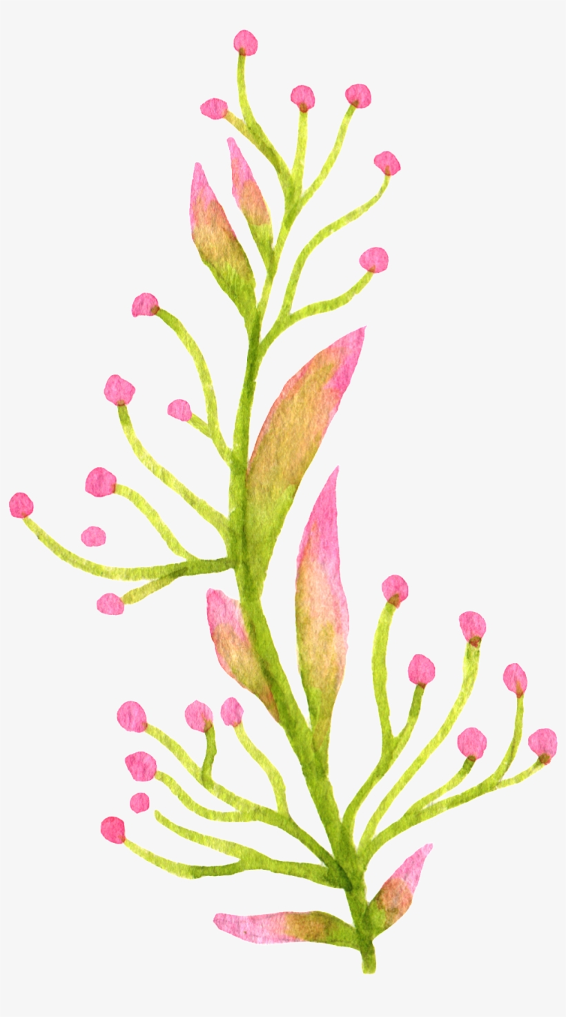 Hand Painted Colored Flowers And Plants Watercolor - Watercolor Painting, transparent png