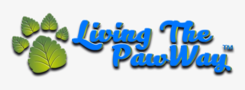 24201013 329244650891177 1617655338 O, transparent png