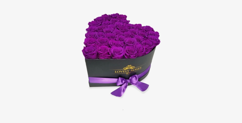 Lovely Roses Carefully Selected And Treated - Garden Roses, transparent png